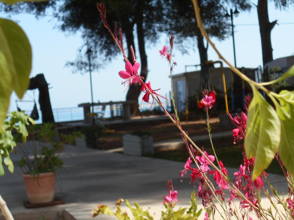 Brunello Seaside Apartments Lefkáda Eksteriør billede